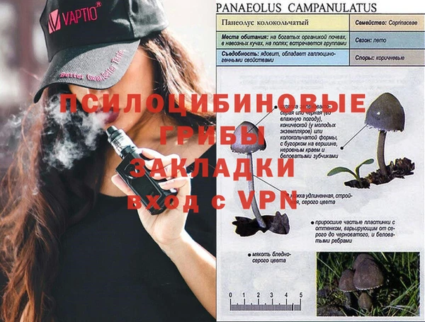 дурь Абаза