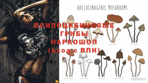 кокс Абинск