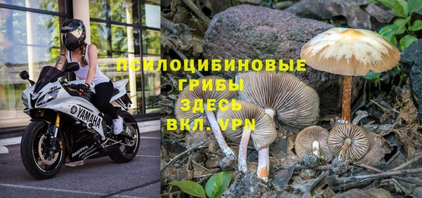 кокс Абинск