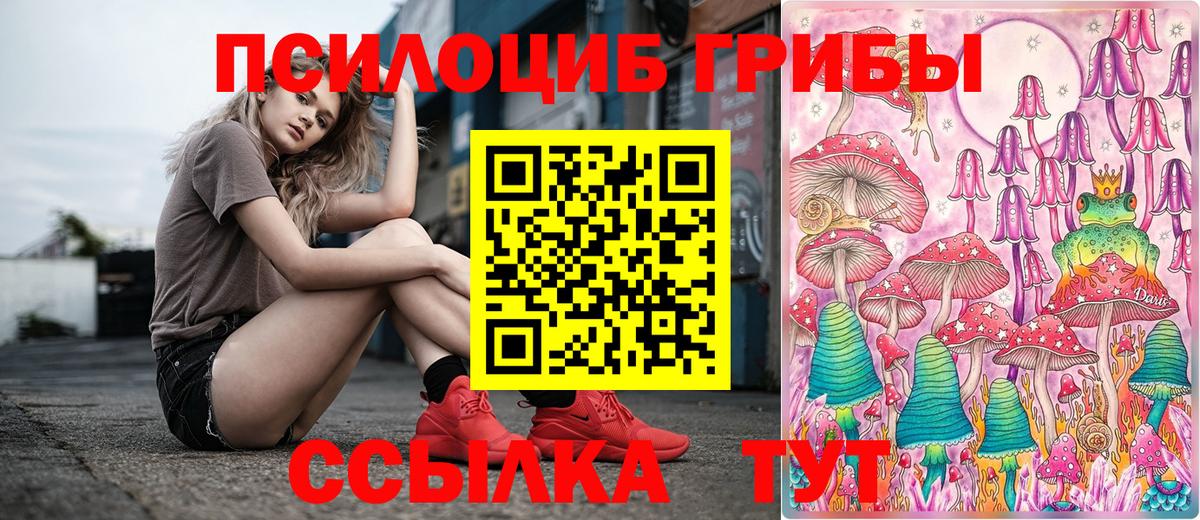 Псилоцибиновые грибы мицелий Фрязино