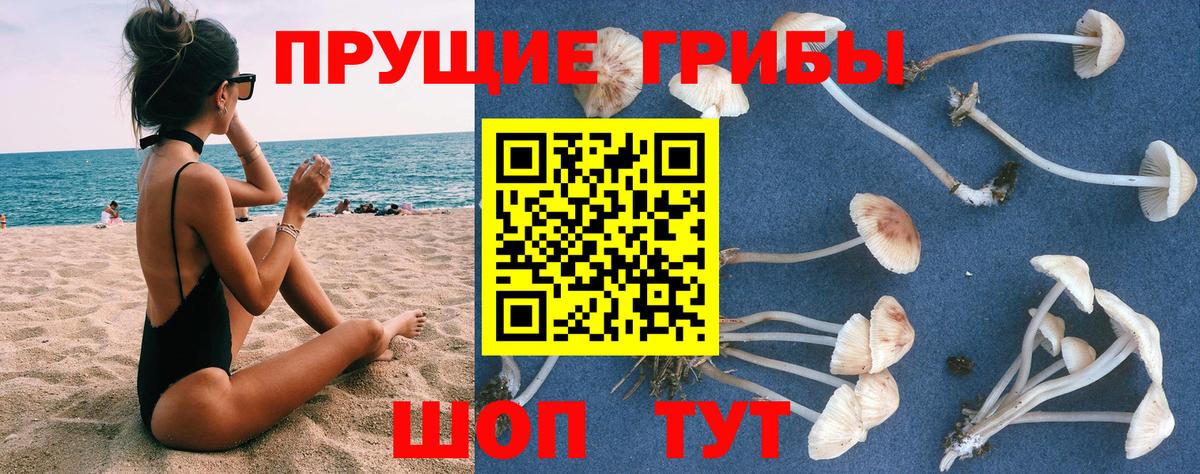 Фрязино  где продают   Галлюциногенные грибы Psilocybe  Вход с VPN  Псилоцибиновые грибы Psilocybe 